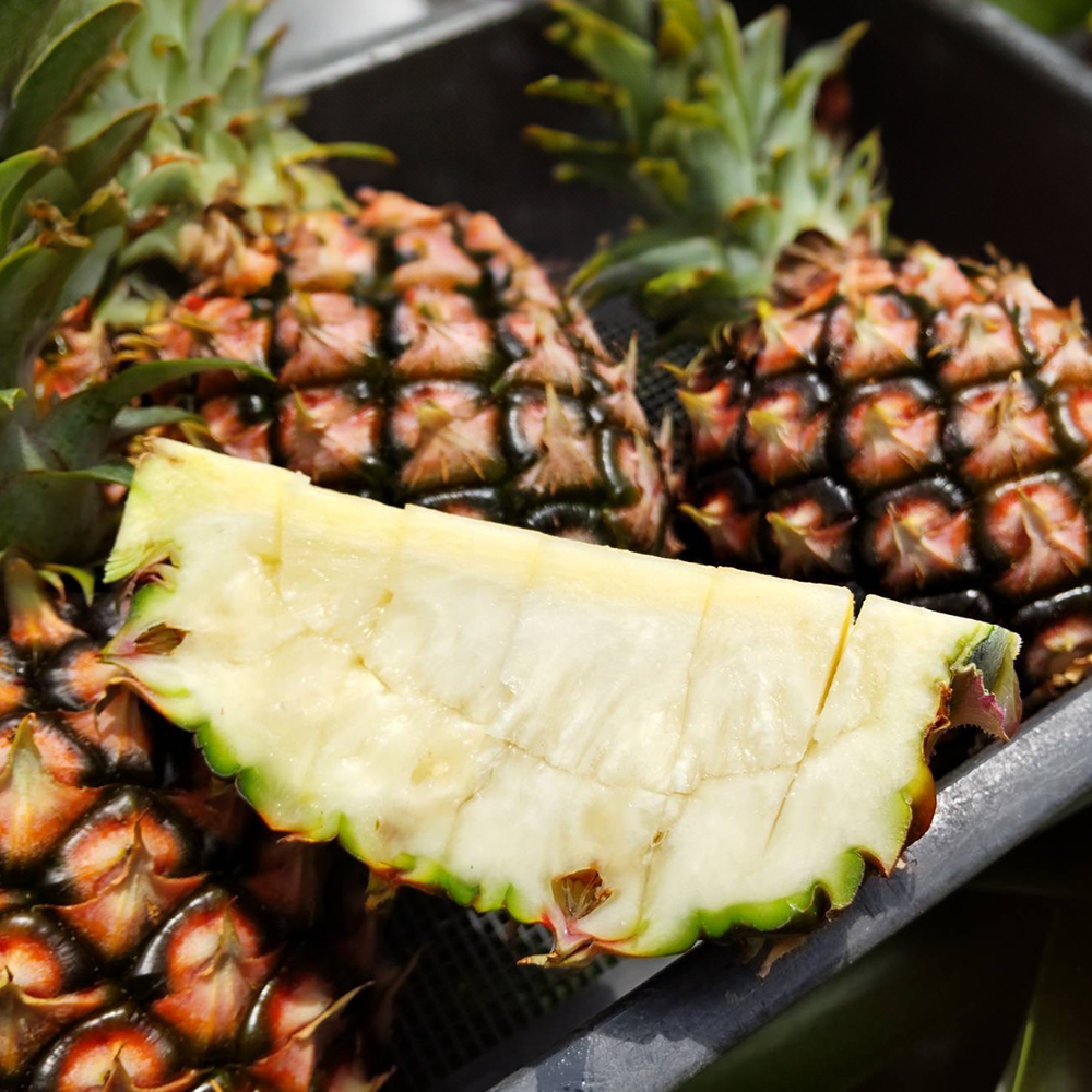 フローズンパイナップル｜ピーチパイナップル [150g]